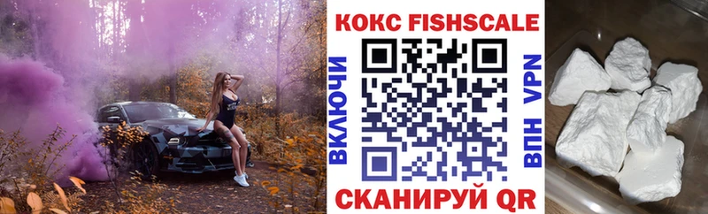 дарнет шоп  Луга  Кокаин Эквадор 