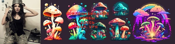 мдпв Абинск