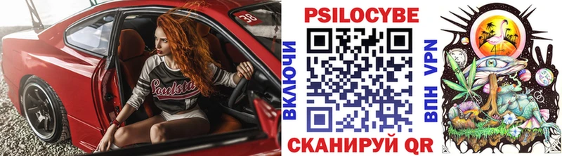 Псилоцибиновые грибы ЛСД  купить закладку  Луга 
